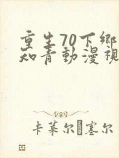重生70下乡当知青动漫视频封面