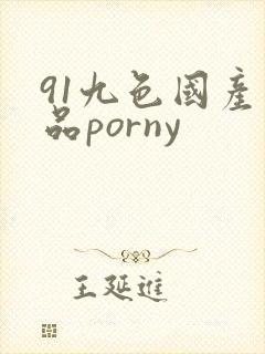 91九色国产精品porny