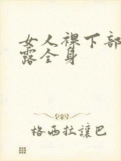 女人裸下部图裸露全身
