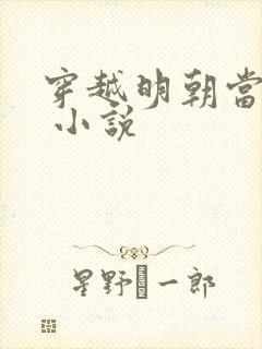 穿越明朝当皇帝 小说