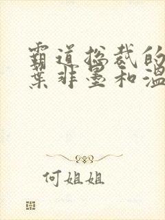 霸道总裁的替身叶非墨和温暖小说