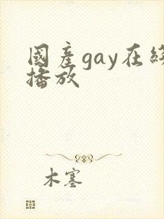 国产gay在线播放
