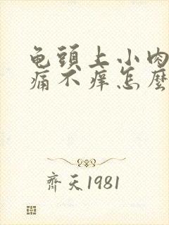 龟头上小肉粒不痛不痒怎么治