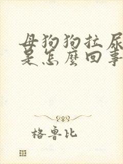 母狗狗拉尿带血是怎么回事