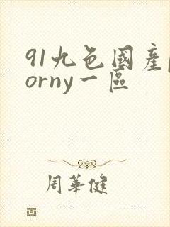 91九色国产porny一区