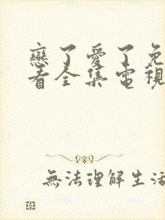 恋了爱了免费观看全集电视连续剧