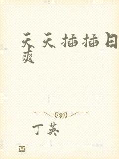 天天插插日夜夜爽