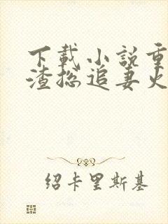 下载小说重生后渣总追妻火葬场