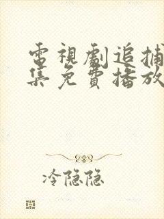 电视剧追捕者全集免费播放