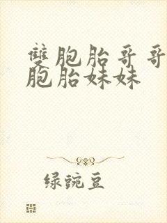 双胞胎哥哥 双胞胎妹妹