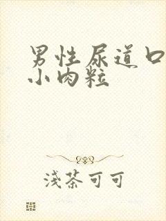 男性尿道口里长小肉粒