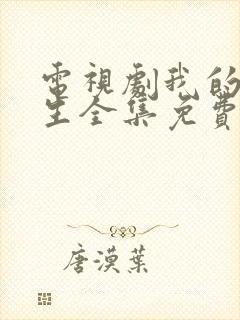 电视剧我的后半生全集免费观看