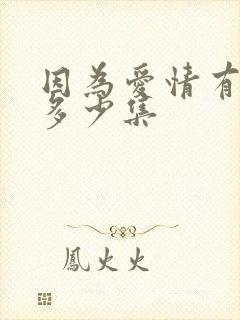 因为爱情有多美多少集