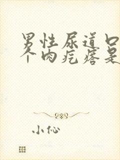 男性尿道口长了个肉疙瘩是怎么回事封面
