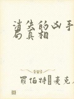 消失的凶手大结局真相封面