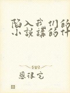 陷入我们的热恋小说讲的什么