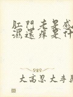 肛门老是感觉潮湿还痒是什么原因