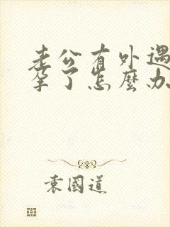 老公有外遇还怀孕了怎么办