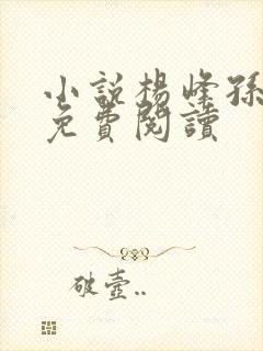 小说杨峰孙梦涵免费阅读