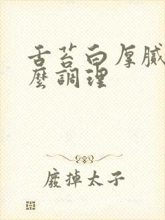 舌苔白厚腻黄怎么调理