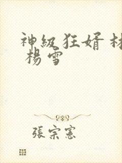 神级狂婿 林凡 杨雪