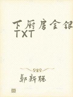 下厨房金银花露 TXT封面