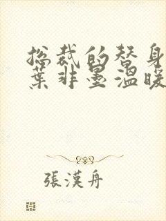 总裁的替身前妻叶非墨温暖