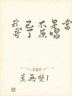 我已不是当年的哥了原唱