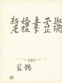 新婚妻子与买菜老板李芷珊小说免费