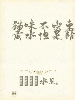 猫咪不吃东西吐黄水但是精神很好