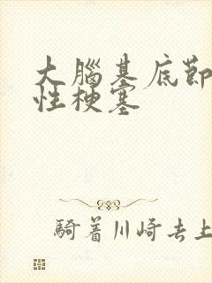 大脑基底节腔隙性梗塞