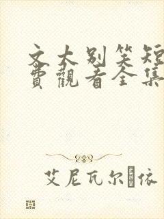 文太别笑短剧免费观看全集高清版