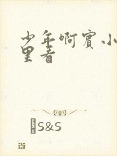 少年啊宾小说哪里看封面