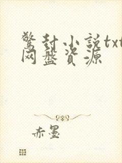 惊封小说txt网盘资源