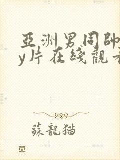 亚洲男同帅gay片在线观看