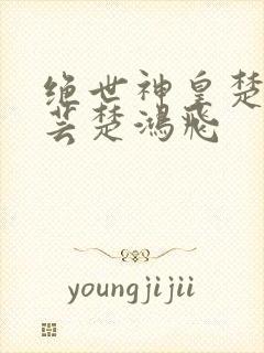 绝世神皇楚风楚芸楚鸿飞