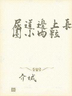 尿道边上长了一圈小肉粒