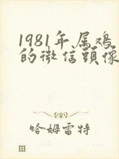 1981年属鸡的微信头像用什么比较好