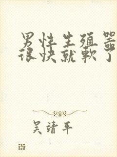 男性生殖器勃起很快就软了