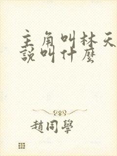主角叫林天的小说叫什么封面