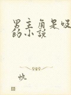 男主角是吸血鬼的小说