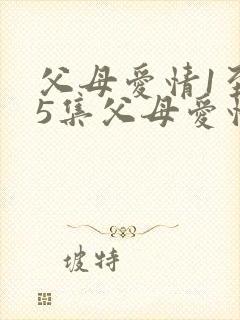 父母爱情1至45集父母爱情封面