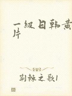 一级日韩黄色大片