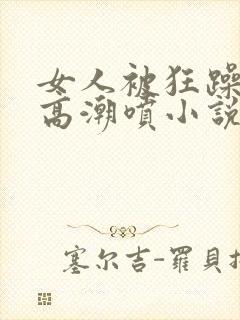 女人被狂躁c到高潮喷小说