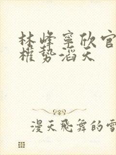 林峰宁欣官道之权势滔天封面