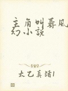 主角叫聂风的玄幻小说