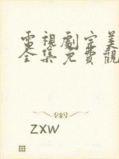 电视剧完美伴侣全集免费观看封面