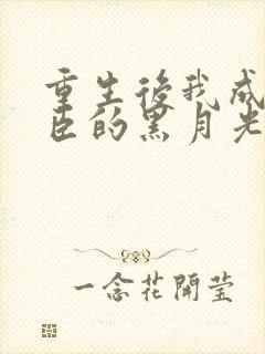 重生后我成了权臣的黑月光更新