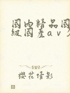 国内精品国产三级国产aⅴ久