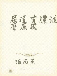 尿道有脓液是什么原因